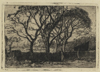 KG 09446
<br/>
Bomen achter een omheining
<br/>
<em>Zwart, Willem de (1862-1931)</em>